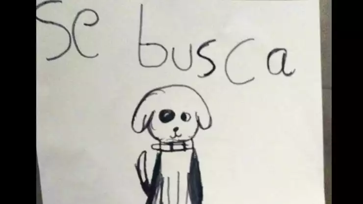 Perrito dibujo