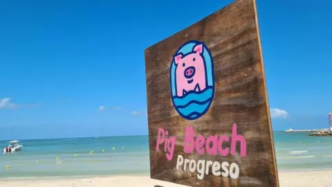 playa de los cerdos yuc