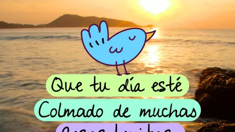 frases e imágenes de buenos días para WhatsApp bonitas gratis ¡Feliz sábado!