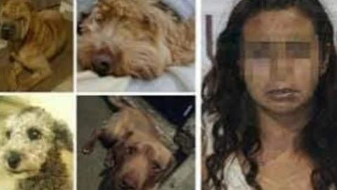 Capturan a la mata perros de Bosques de San Sebastián