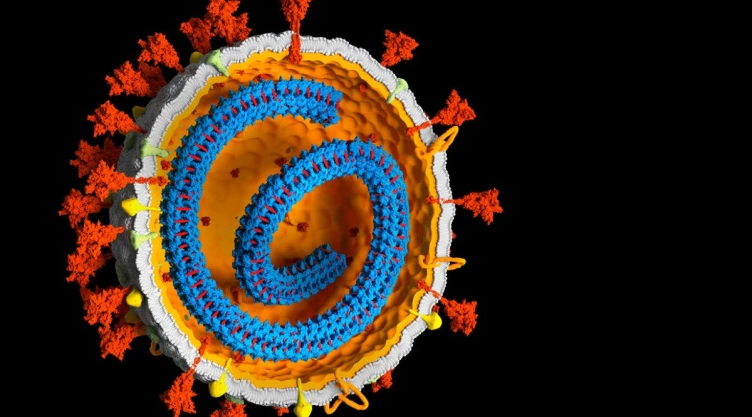 coronavirus_adn_genes.jpg