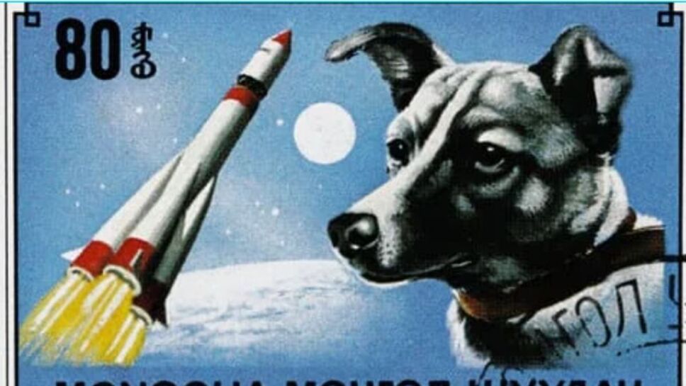 Laika, órbita, historia 2.jpg