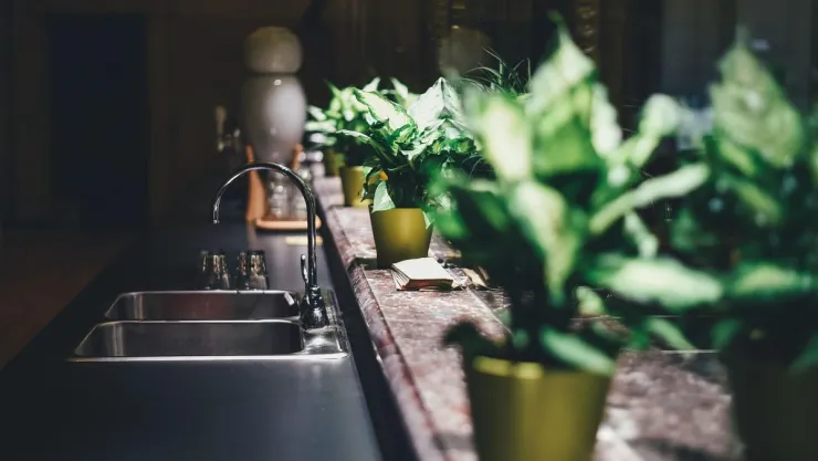 /estilo-de-vida/cual-es-sitio-colocar-planta-dentro-cocina-feng-shui