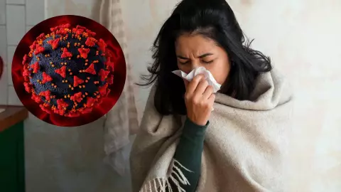 Diferencias entre H3N2 y gripe