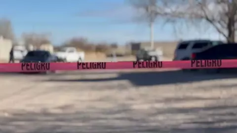 WhatsApp Image 2025-02-13 at 4.10.07 PM.jpeg