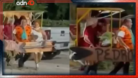 Halloween: Familia se disfraza como los Picapiedra