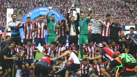matias almeyda