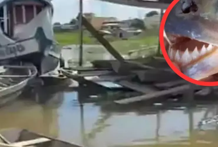 Menor fallece luego de accidente en casa flotante cerca de Coari, en el estado de Amazonas