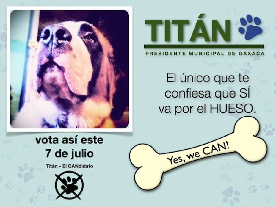 Titán es un san bernardo que compite por la presidencia de la capital de Oaxaca