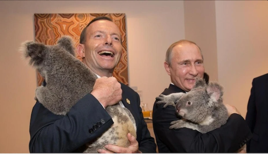 En Australia existen parques de vida salvaje donde los turistas pueden abrazar y acariciar koalas
