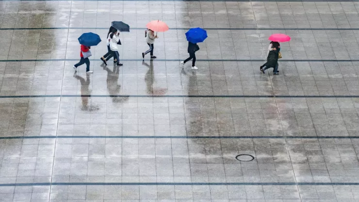 A qué hora lloverá hoy en Tlaquepaque Consulta el pronóstico del clima hoy 8 de julio