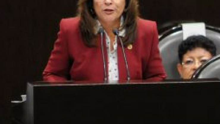 Energía: Norma Rocío Nahle García