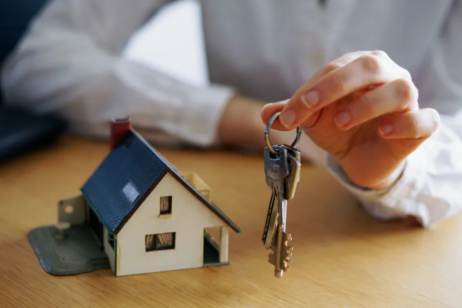 Búsqueda inmobiliaria.jpg