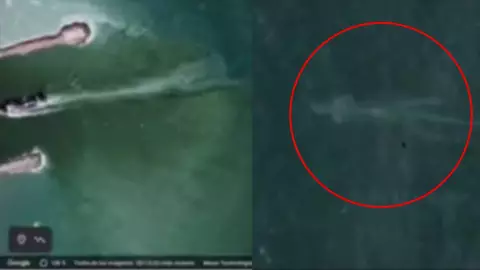 VIDEO: Captan supuesto monstruo marino en una playa de México