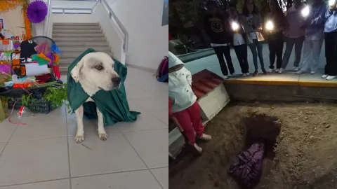Tras la muerte de “Ingeniero”, el perrito fue enterrado y posteriormente exhumado para las investigaciones de la FGE de Puebla