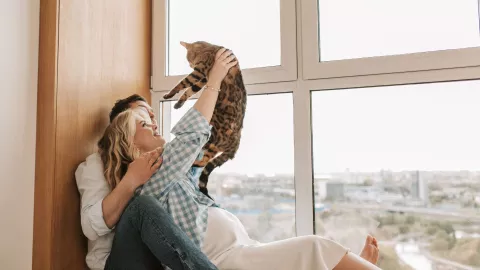 ¿Cuáles son los gestos humanos que los gatos entienden? La ciencia responde