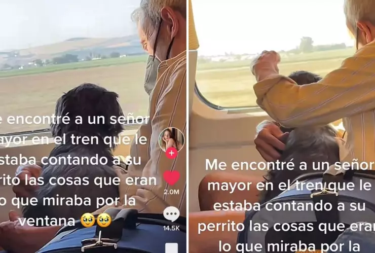 perrito y abuelito viajan en tren y se viralizan tras compartir un tierno momento.jpg