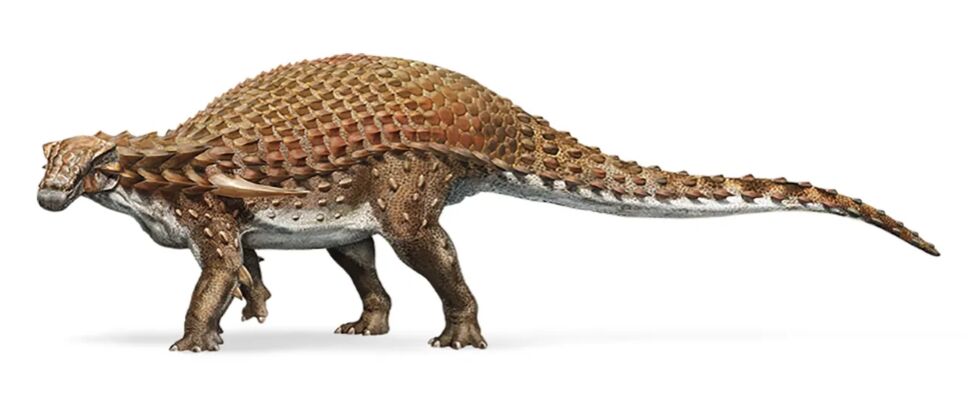 nodosaurio.png