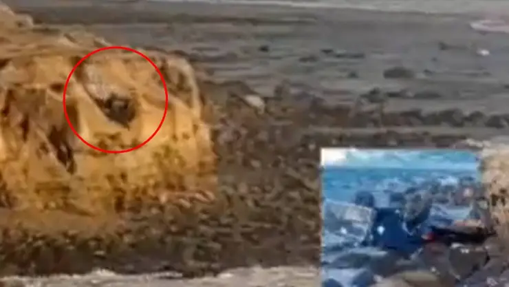 VIDEO Momento en que carro cae de un acantilado en playa de Ensenada