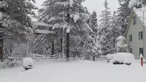 Nevada en San Pedro Mártir