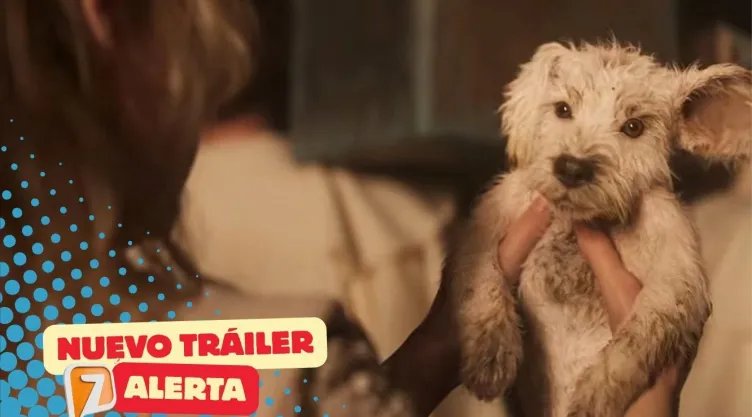 Tráiler Supergirl Woman of Tomorrow Lobo, Superman y la posible muerte de Krypto