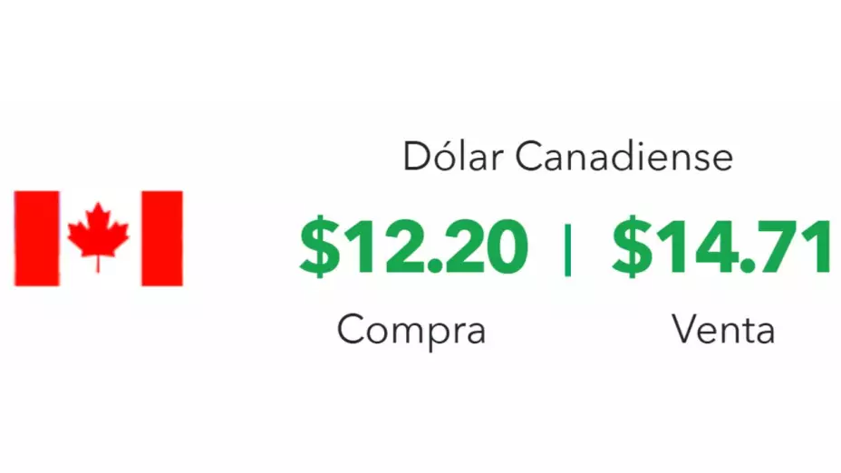 Precio del dólar hoy 27 de febrero 2025 en México, ¿cómo está el tipo de cambio?