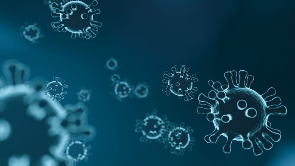 Permafrost, bacterias, virus 2.jpg