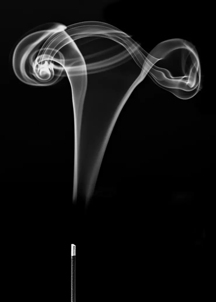 El humo del incienso ayudará a los signos de aire a purificar su interior