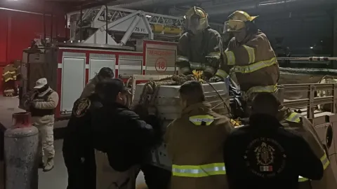 Capturan a leona suelta en Ampliación Felipe Ángeles en Ciudad Juárez