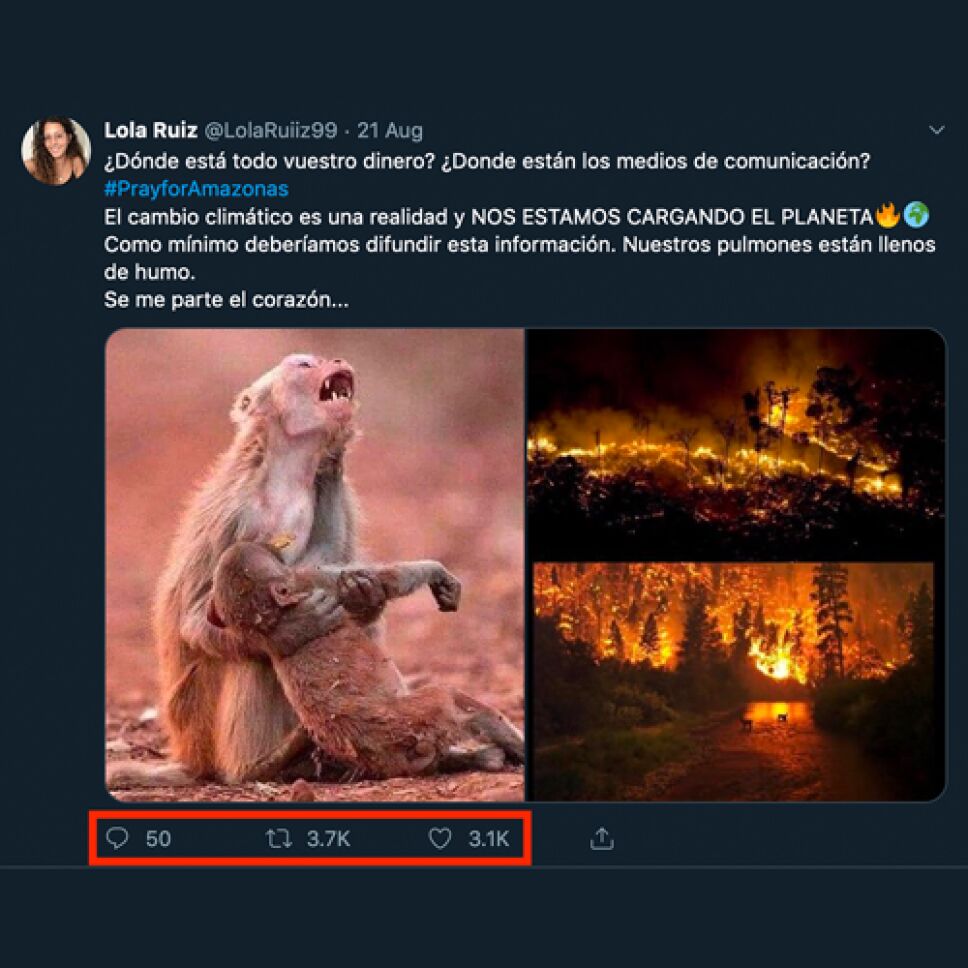 MONO_LLORANDO.png
