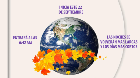 Ya es otoño de otoño y te explicamos sus características