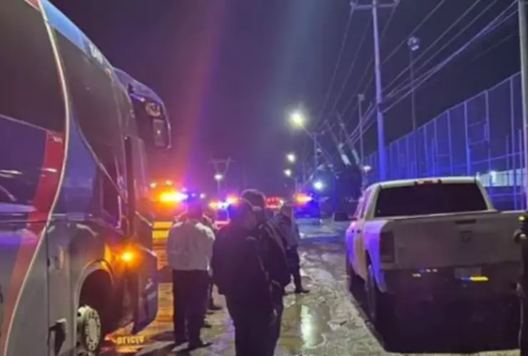 z - 2024-02-19T112421.439.jpg