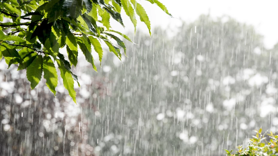 Así estará el clima en Morelos este lunes 20 de octubre.