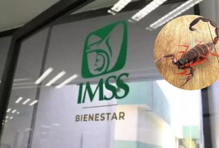 imss bienestar