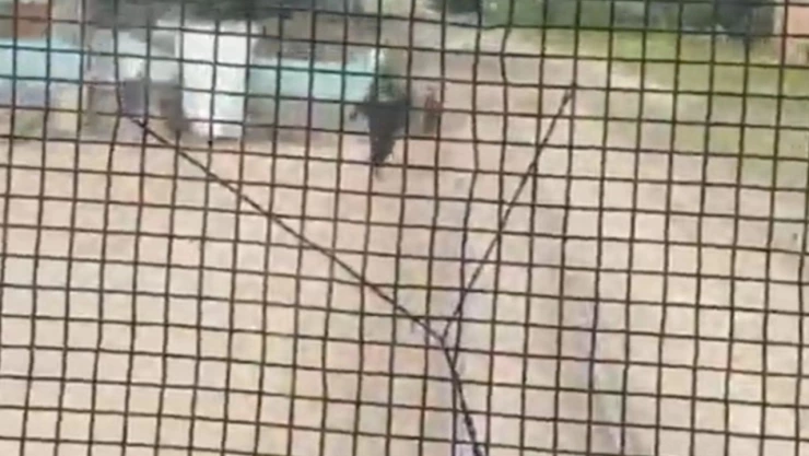 Policía salva niño en vías del tren en Córdoba 