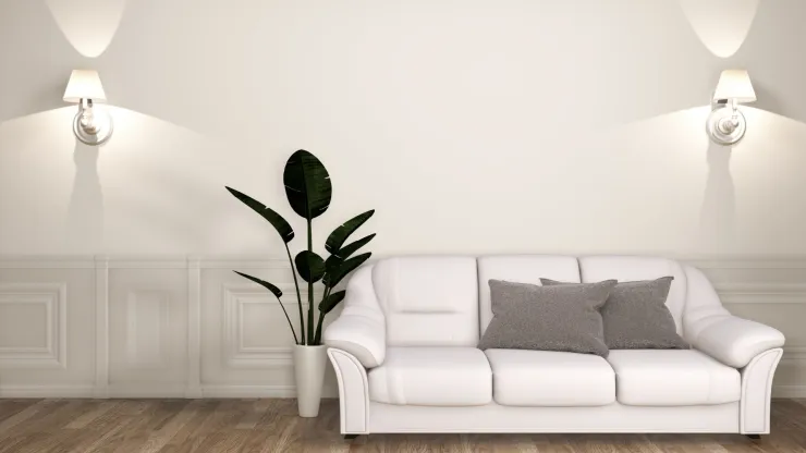 plantas de interior
