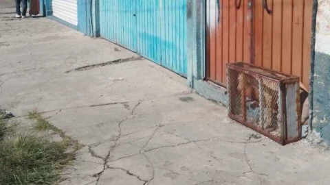 Maltrato-animal-reportan-un-perro-encerrado-en-jaula-diminuta-en-Puebla