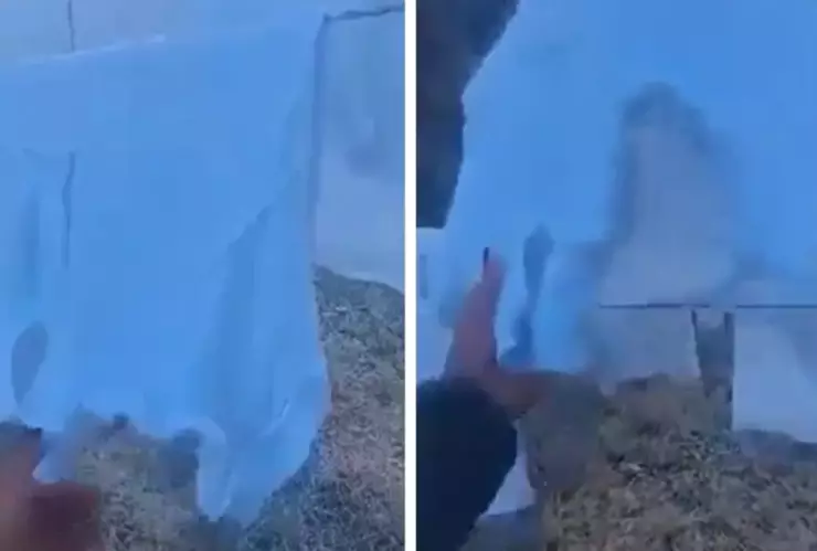 Heladas extremas provocan que ropa en Oaxaca quede CONGELADA