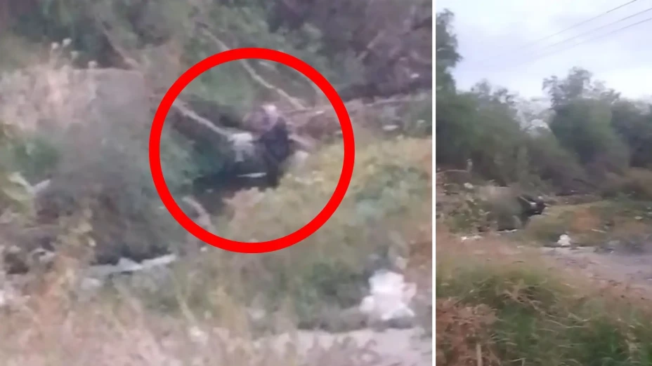 Video figura de la Muerte vías del tren León