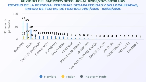 gráfica de personas desaparecidas en Guanajuato durante 2025