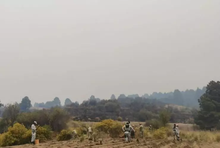 Texto del párrafo - 2025-04-17T083228.980.jpg