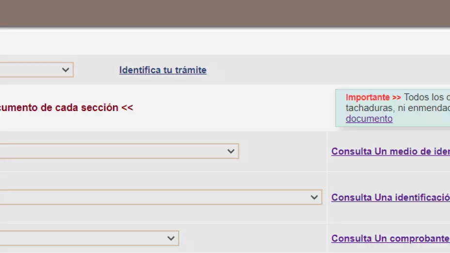 Segundo paso para tramitar INE