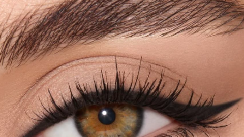 cat eyedelineado.png