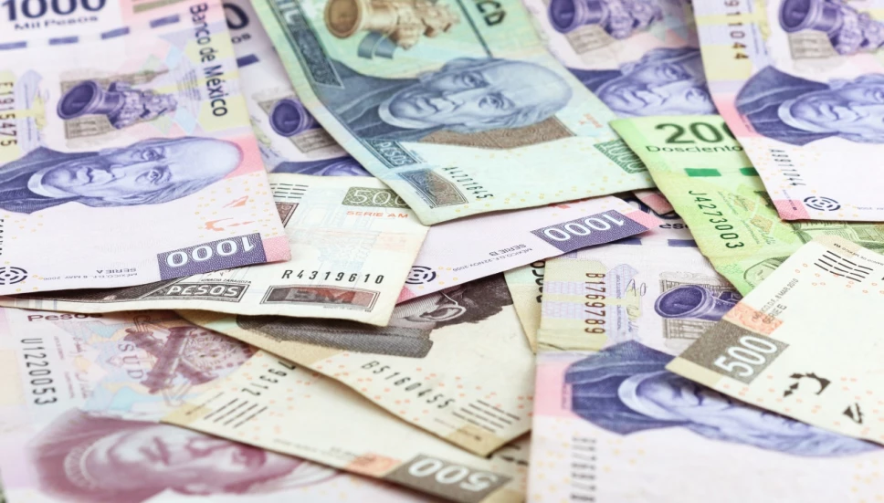 Tarjeta rosa: Así puedes obtener 12 mil pesos al mes, con solo 3 requisitos