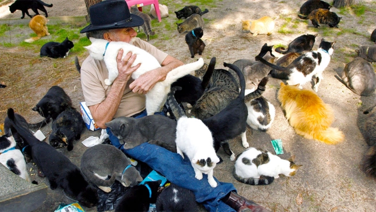 que-es-el-sindrome-del-arca-noe-y-por-que-la-acumulacion-animales-es-un-riesgo-para-todos