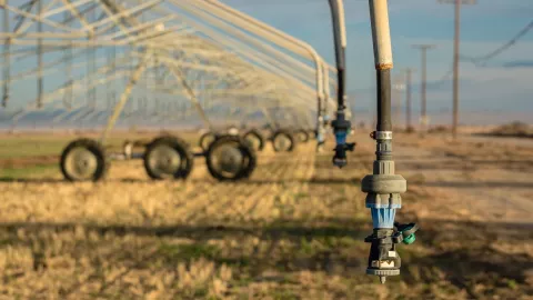 Sobregiro del planeta: Se acabaron los recursos naturales de la Tierra 2022.