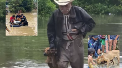 Así fue como rescataron a los animales atrapados por las inundaciones en México