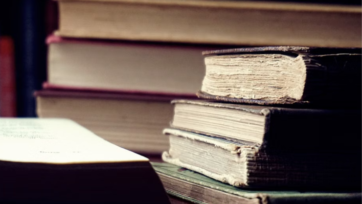 ¿Por qué aparecen pececillos de plata en tus libros o clóset y cómo eliminarlos con 1 ingrediente de tu cocina?