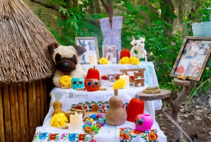 Día de Muertos_ ¿Cuándo se coloca el altar de muertos para perros y gatos¡?