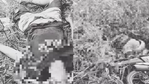 Pitón de 7 metros estrangula y mata a un granjero en Luwu Oriental, Indonesia